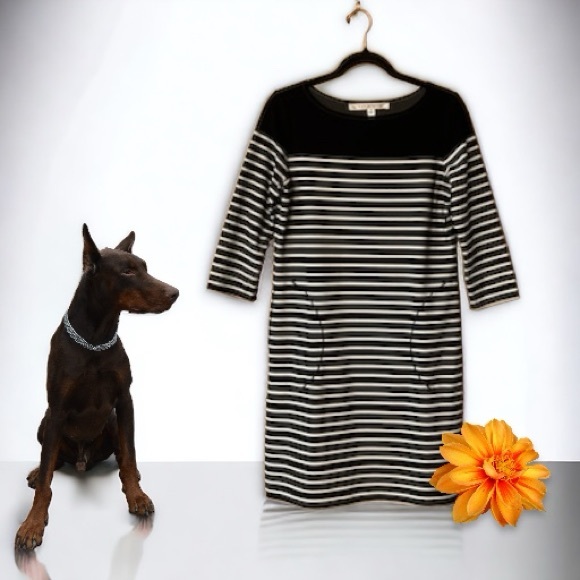 Max Studio Black & White Striped 3/4 Sleeve Shift Dress - Picture 15 of 15